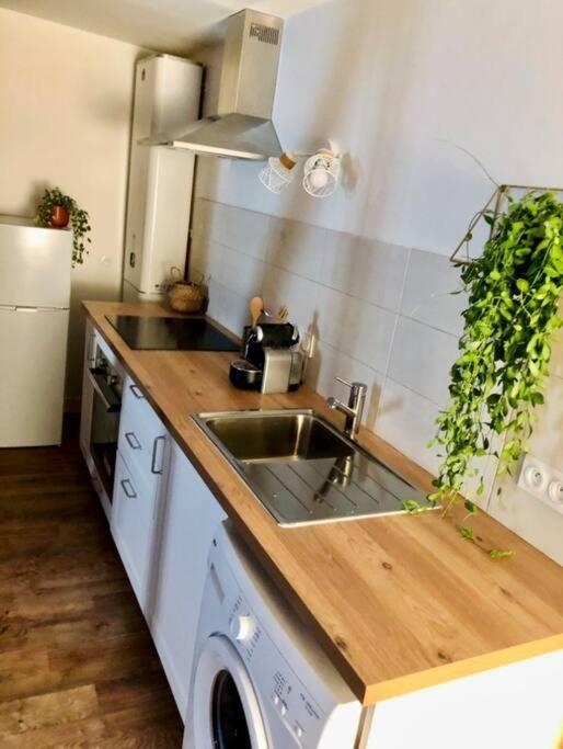 Appartement Au Coeur Du Centre Historique Bergerac Dış mekan fotoğraf